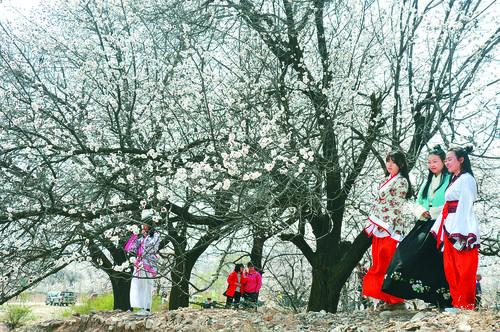 捷报足球比分实时看板